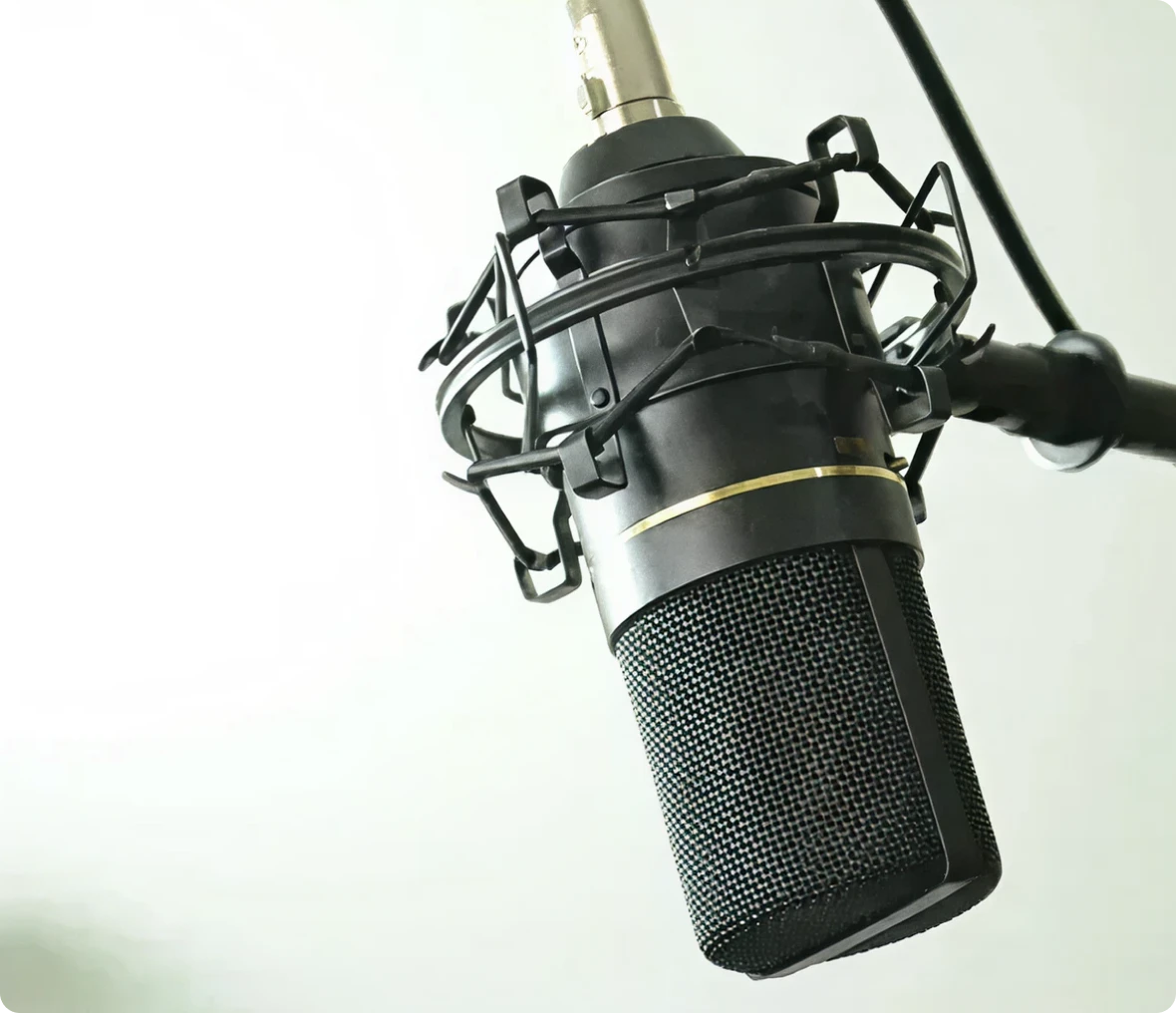 Studio microphone with shock mount